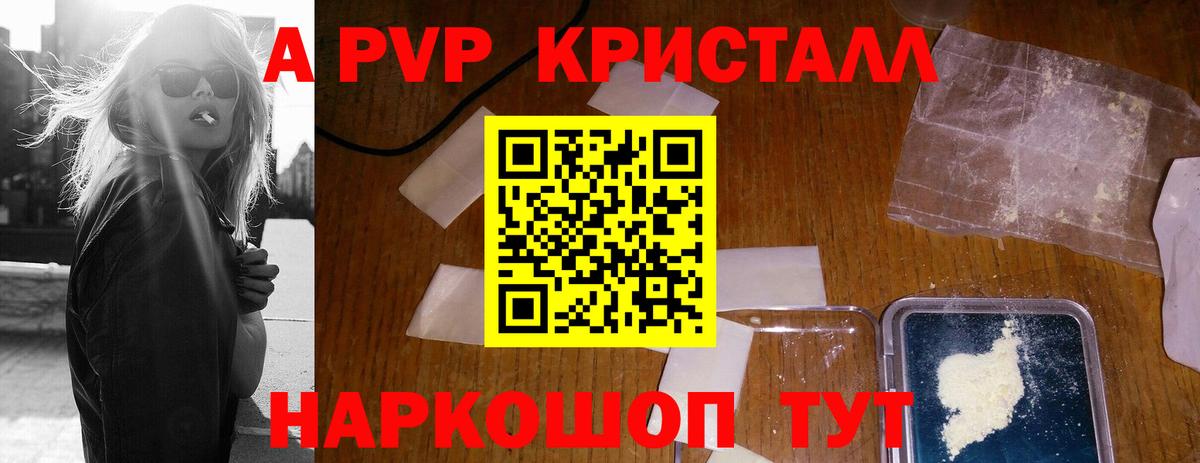 A-PVP СК КРИС Махачкала