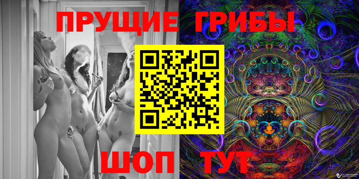 Псилоцибиновые грибы Psilocybe Махачкала