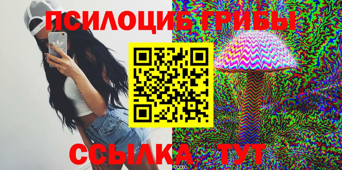 Махачкала  Псилоцибиновые грибы Magic Shrooms  Вход с VPN 